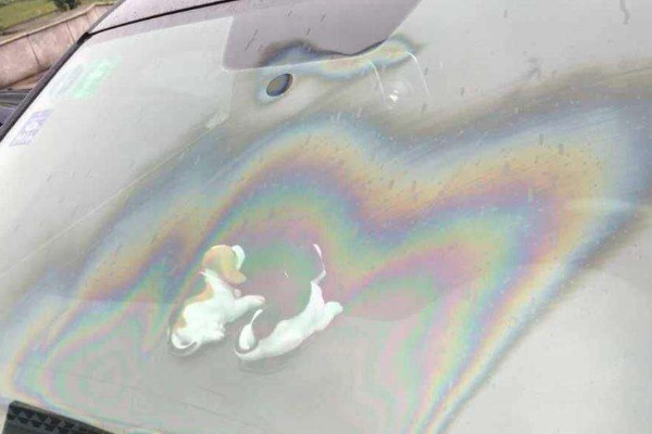 <b>汽车玻璃被裂痕修复办法引见</b>