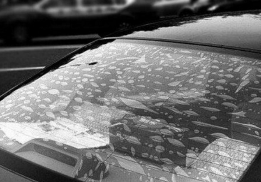 <b>汽车玻璃贴膜起泡是什么原因</b>