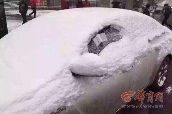 跑车时间长了啥事都能遇上	晒一晒你收到过的那些奇葩罚单