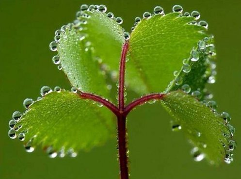 车霸说：秋雨来袭，有哪些地方我们需要注意呢？