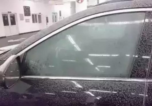 后窗上的细线条有什么用？80%的人都不知道