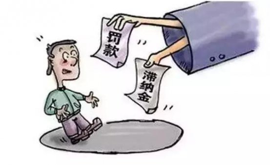 罚了款还加收滞纳金，都是因为自己不上心