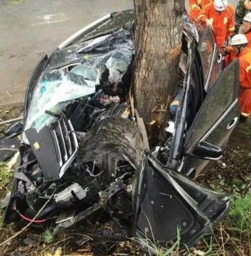 盘点几款车撞树的表现，国产车表现惊人