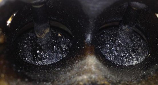 开车是不是高手，小细节就暴露了