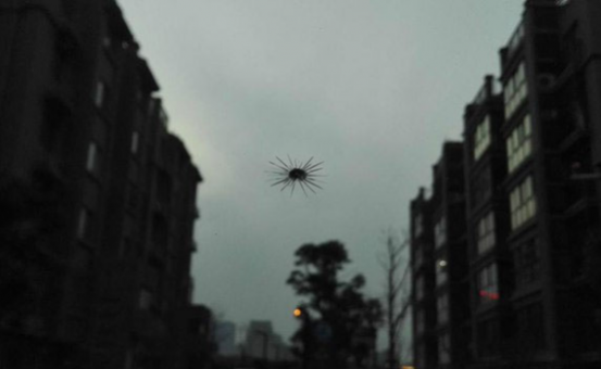 <b>成都汽车挡风玻璃修复大概要多少钱</b>